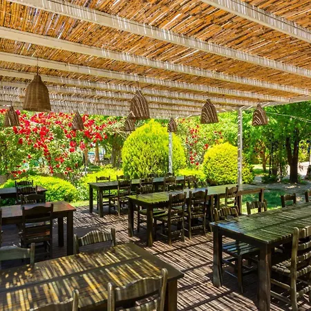Asli Paradise