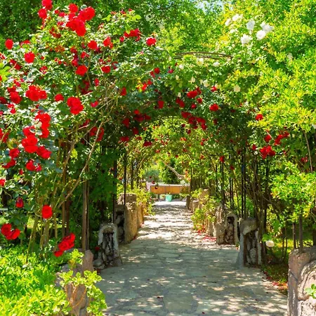 Ferienhaus Asli Paradise
