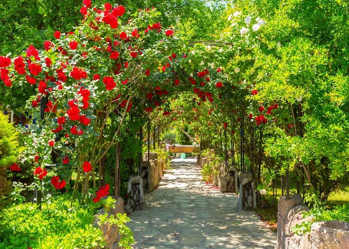 펜션 Asli Paradise